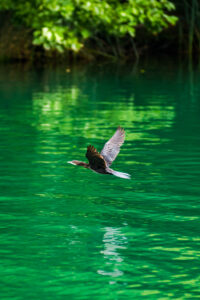 Belevenis Nationaal Park Krka Dalmatië Kroatië